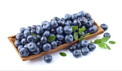 How does Pterostilbene affect gut health and microbiome?